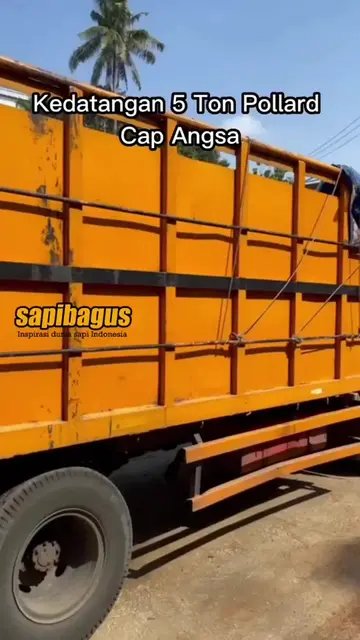 Kedatangan-Stock-Pollard-5-Ton-